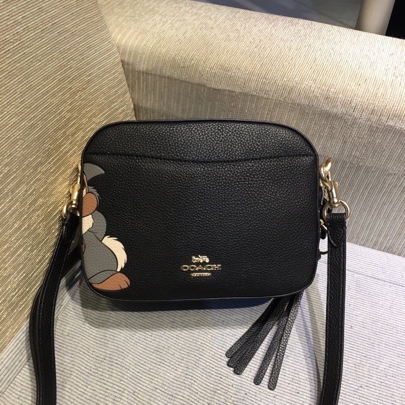 Disney x clearance coach camera bag