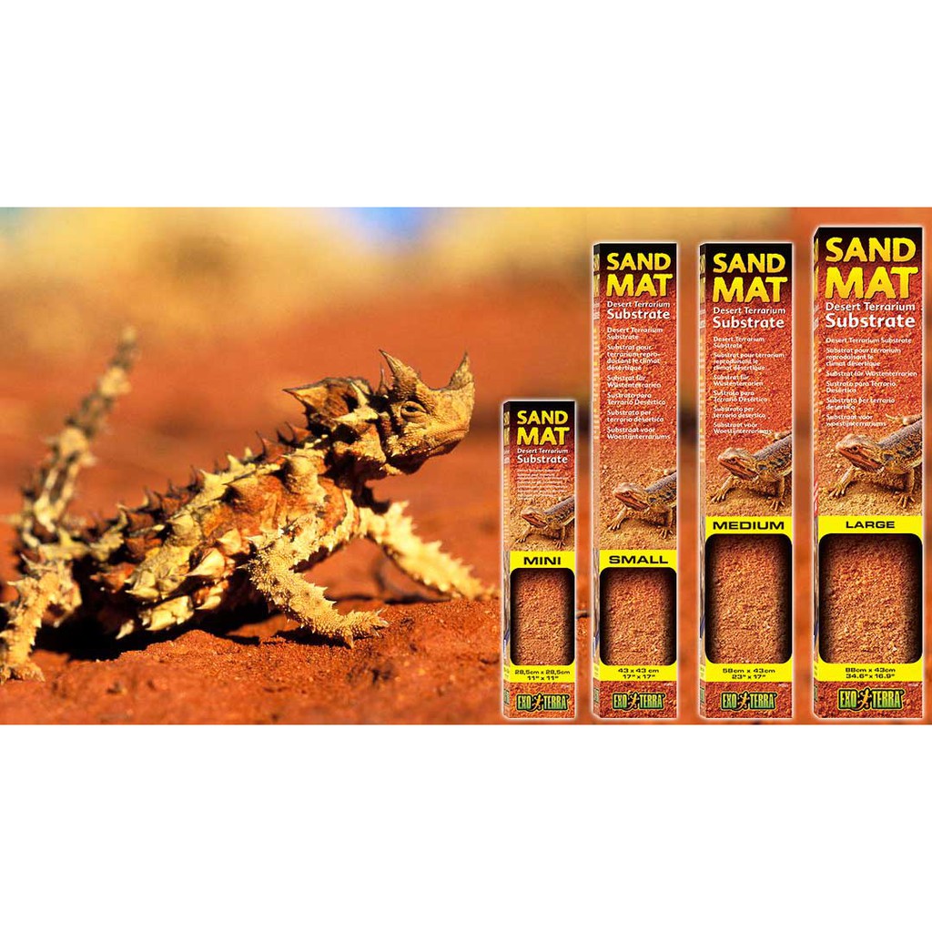 REPTILE SAND MAT DESERT TERRARIUM SUBSTRATE PT 2563 Shopee Malaysia