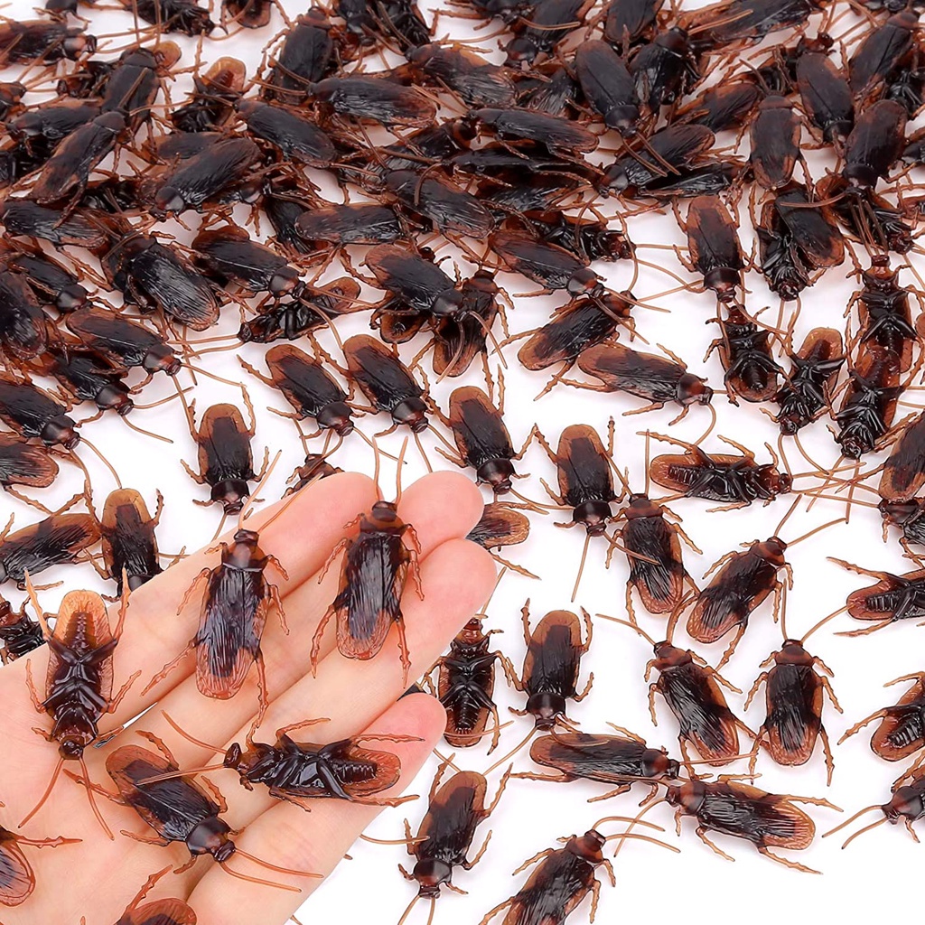 12Pcs Simulation Realistic Cockroach / Halloween Innocent Play a Prank ...