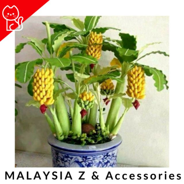 hanging basket silk plant Nearly Natural Geranium Hanging Basket Silk Plant main image 1