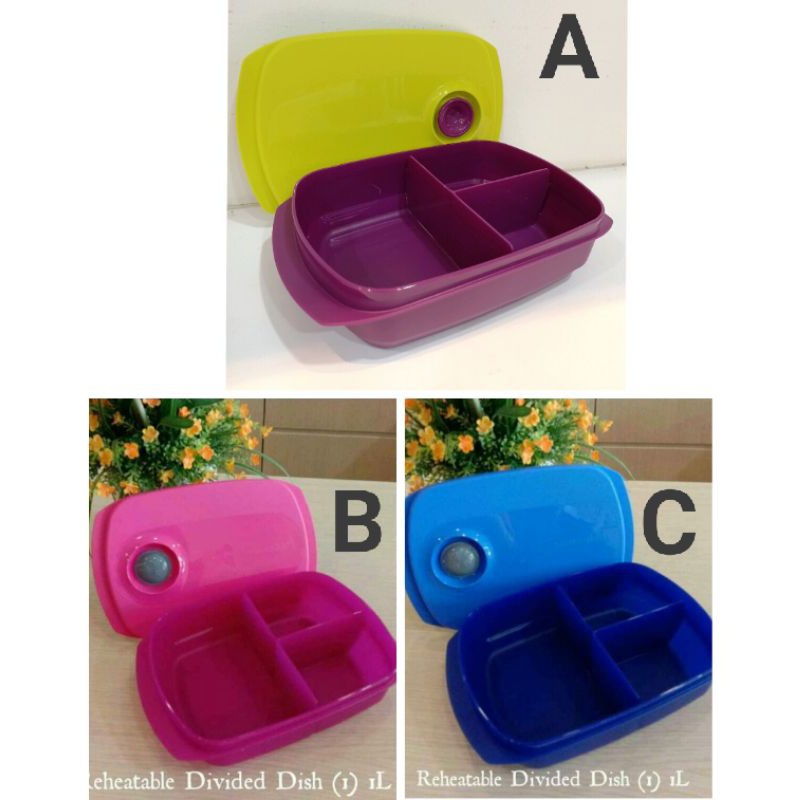 Reheatable Divided Lunch Box 1L – eTuppStore (PM) by Tupperware Brands  Malaysia Sdn. Bhd. 199401001646 (287324-M)