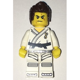 Lego 8684 Collectible Minifigure Series 2: No 14 Karate Master