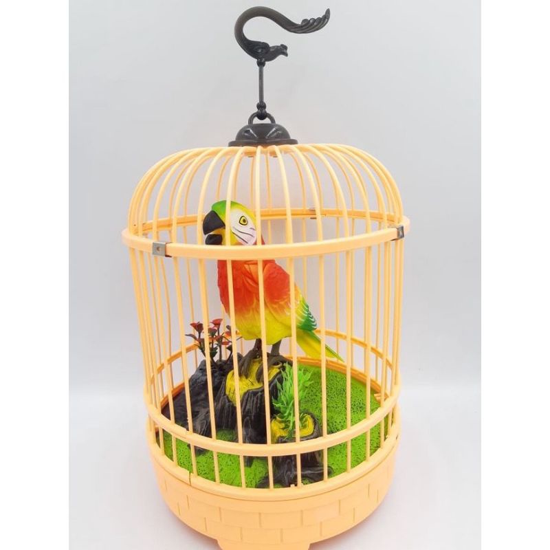 Beautiful bird outlet toy