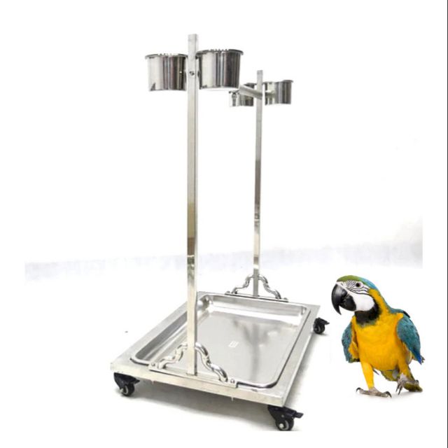 Stainless steel parrot clearance stand