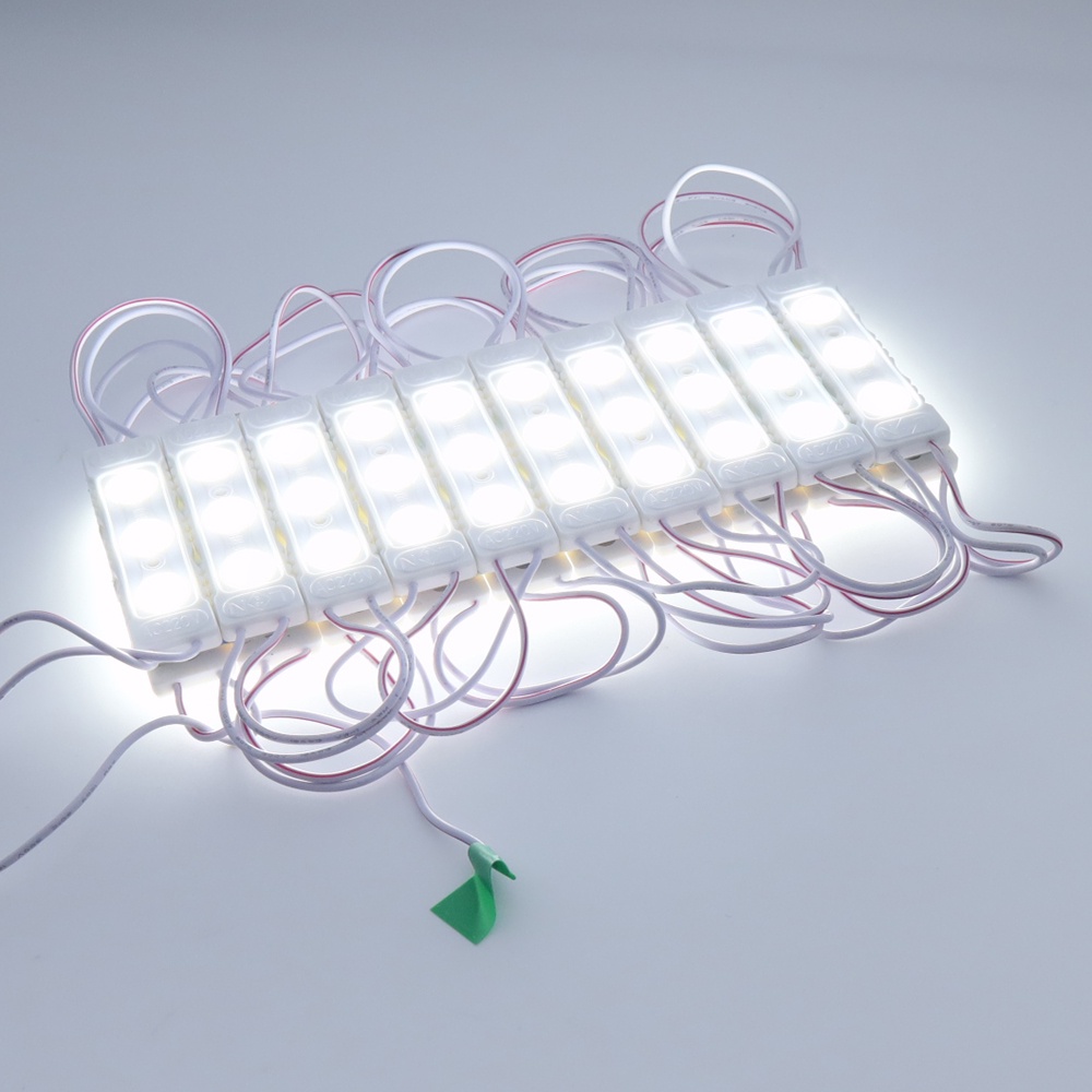 20PCS 220V LED Module 1.5W 3LEDs Injection LED Modules IP65 Waterproof ...