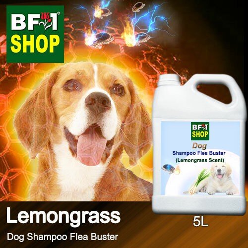 🐶🚿 Dog Shampoo Flea Buster (DSO-Dog) - Lemongrass - 5L puppy 狗 against ...