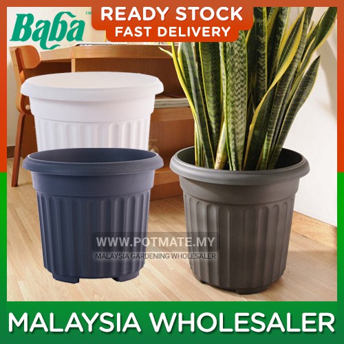 (31cm) Baba BI-RD-310 Romanesque Series High Quality Biodegradable ...