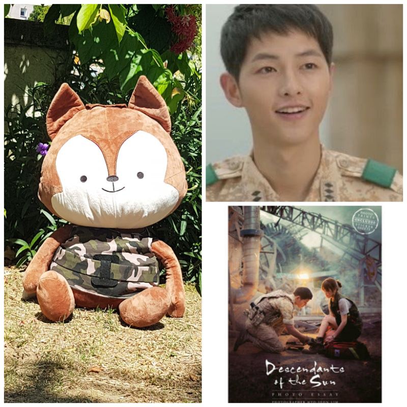 Descendants of the sun stuffed toy online