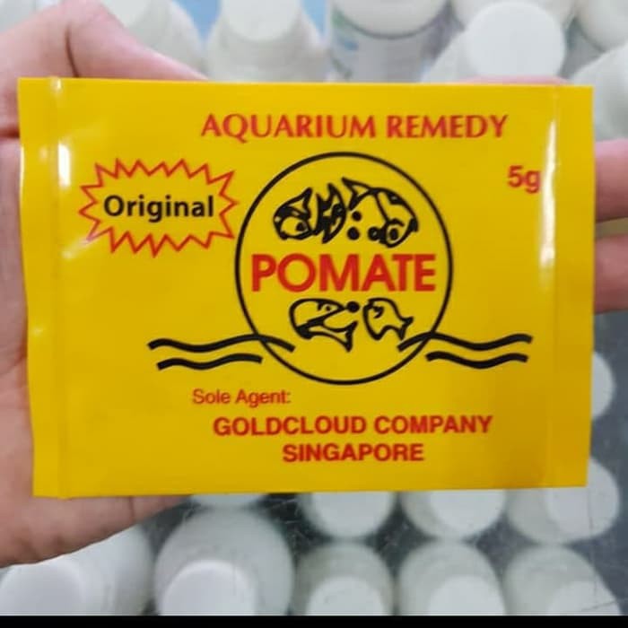 Pomate Original Singapore Original | Shopee Malaysia