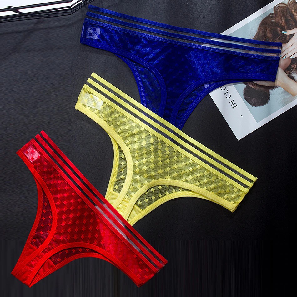 Sexy Mesh /Ice Silk Thong Panties Seamless G String Plus Size