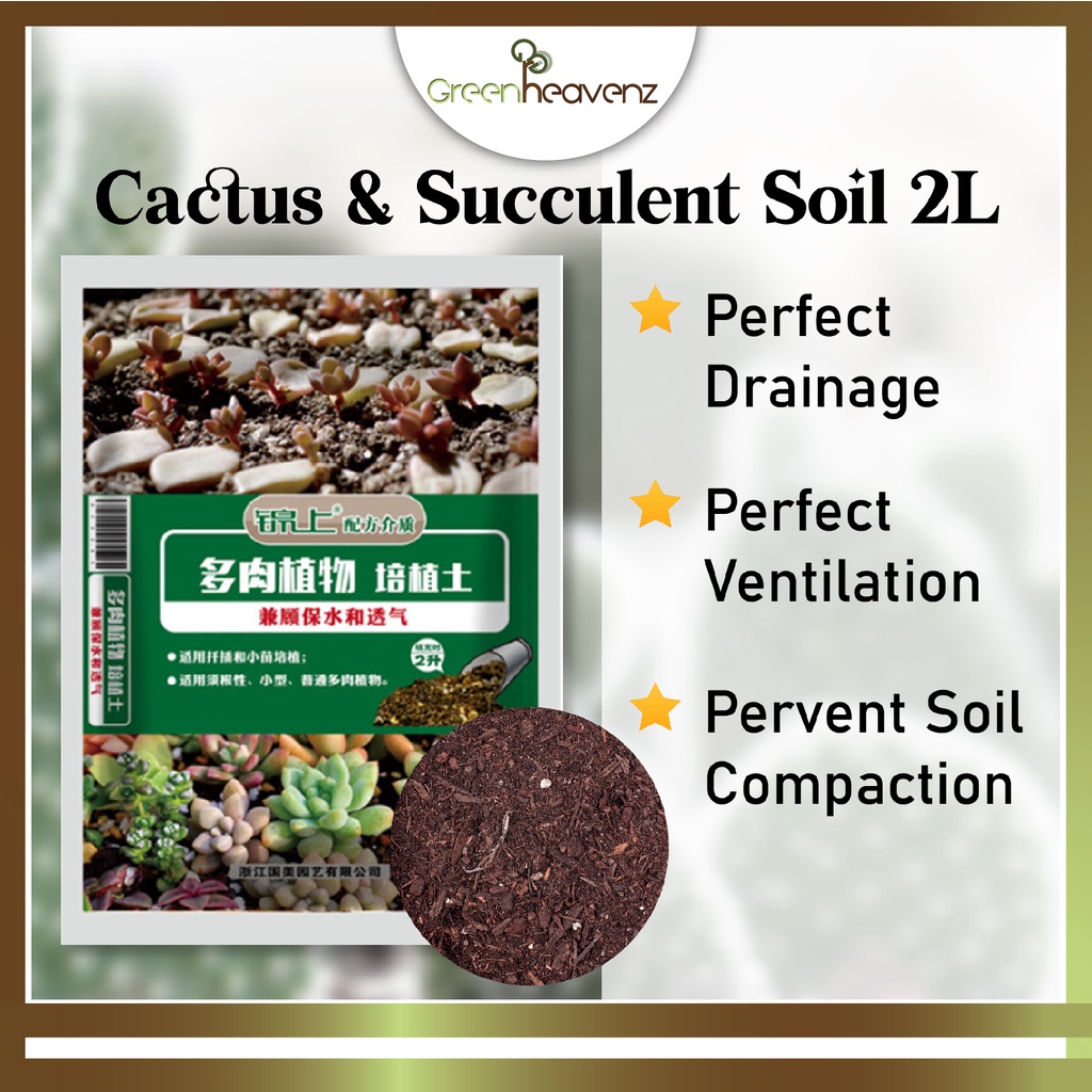 Greenheavenz - Soil Compost Succulent Cactus Soil Tanah Cacti Stone ...