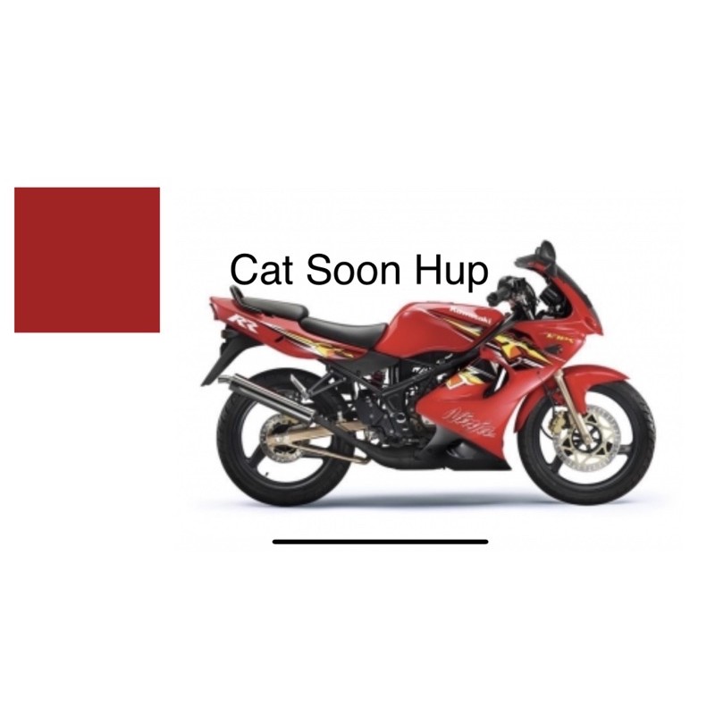 Kawasaki RR150 RED 2k Paint Aikka K16012 | Shopee Malaysia