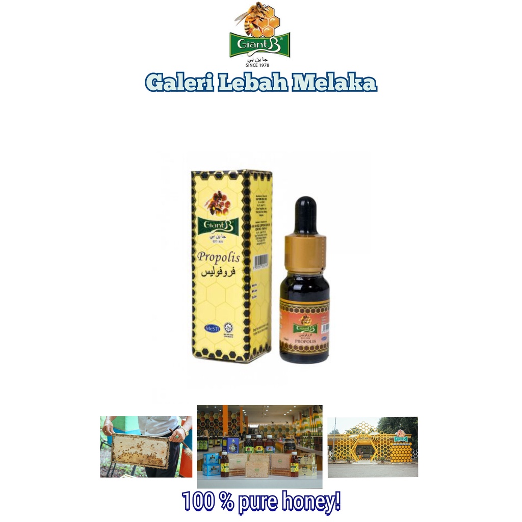 CECAIR PROPOLIS Giant B (Propolis Liquid) | Shopee Malaysia