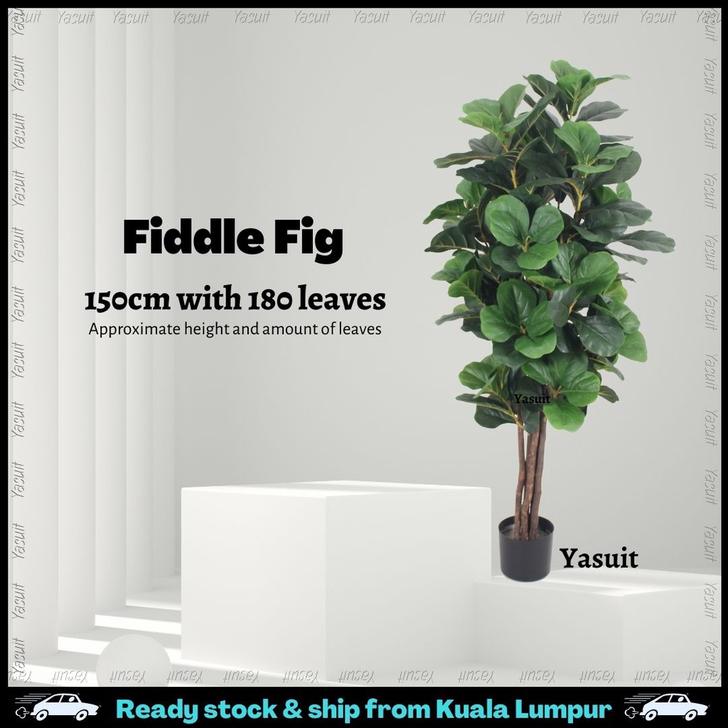 Pokok Viral Artificial Plant Skybird Fiddle Fig Olive Sky Bird Tree ...