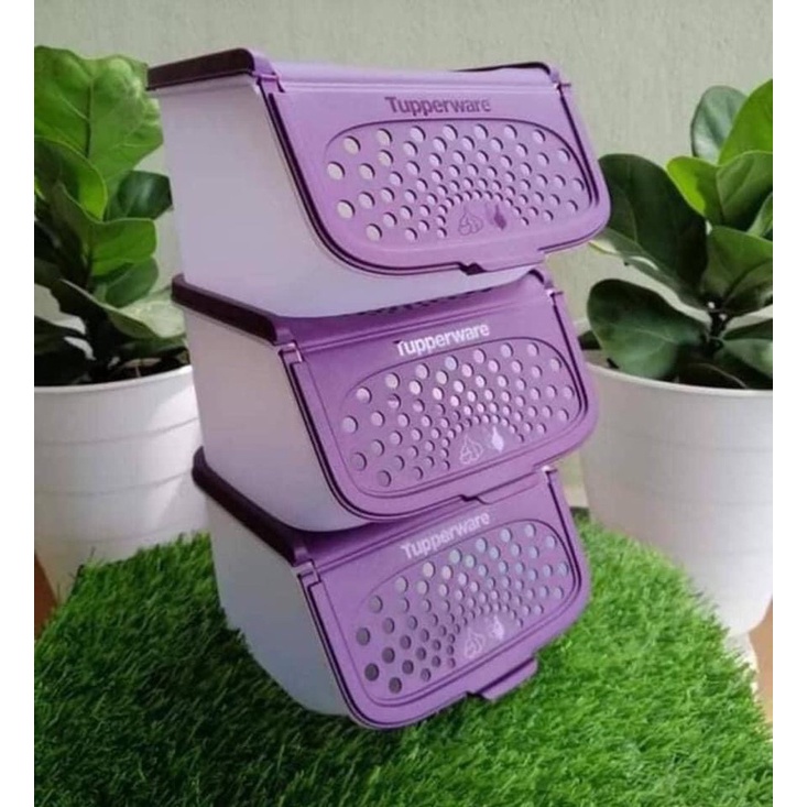 Tupperware bekas bawang | Shopee Malaysia