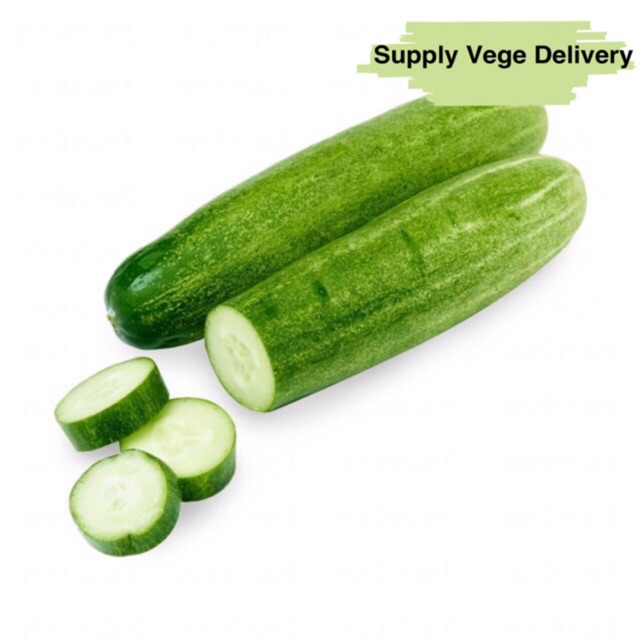 Fresh Local Cucumber Timun 本地青瓜 | Shopee Malaysia