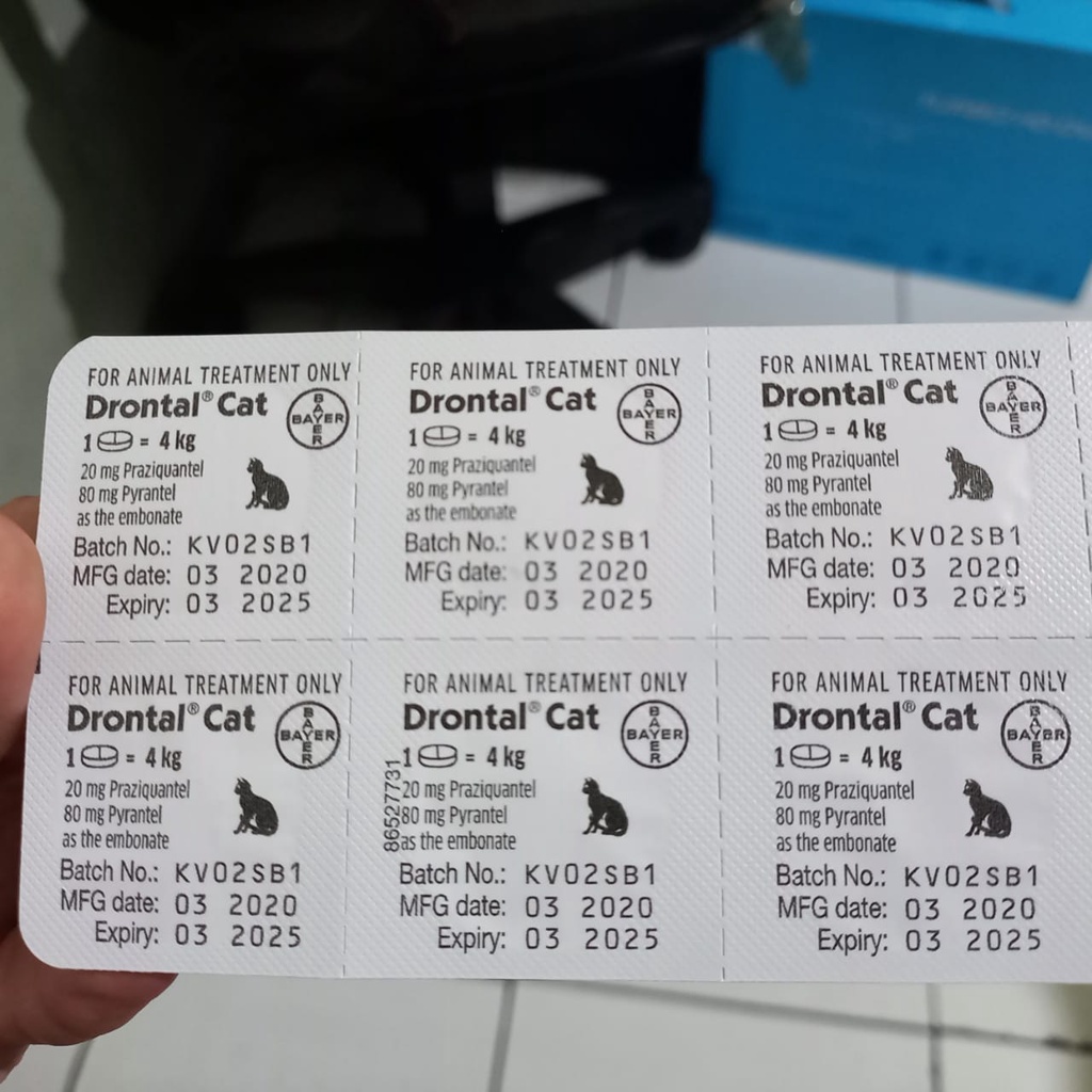 Drontal Paint Cat Worm Medicine Per tablet Shopee Malaysia
