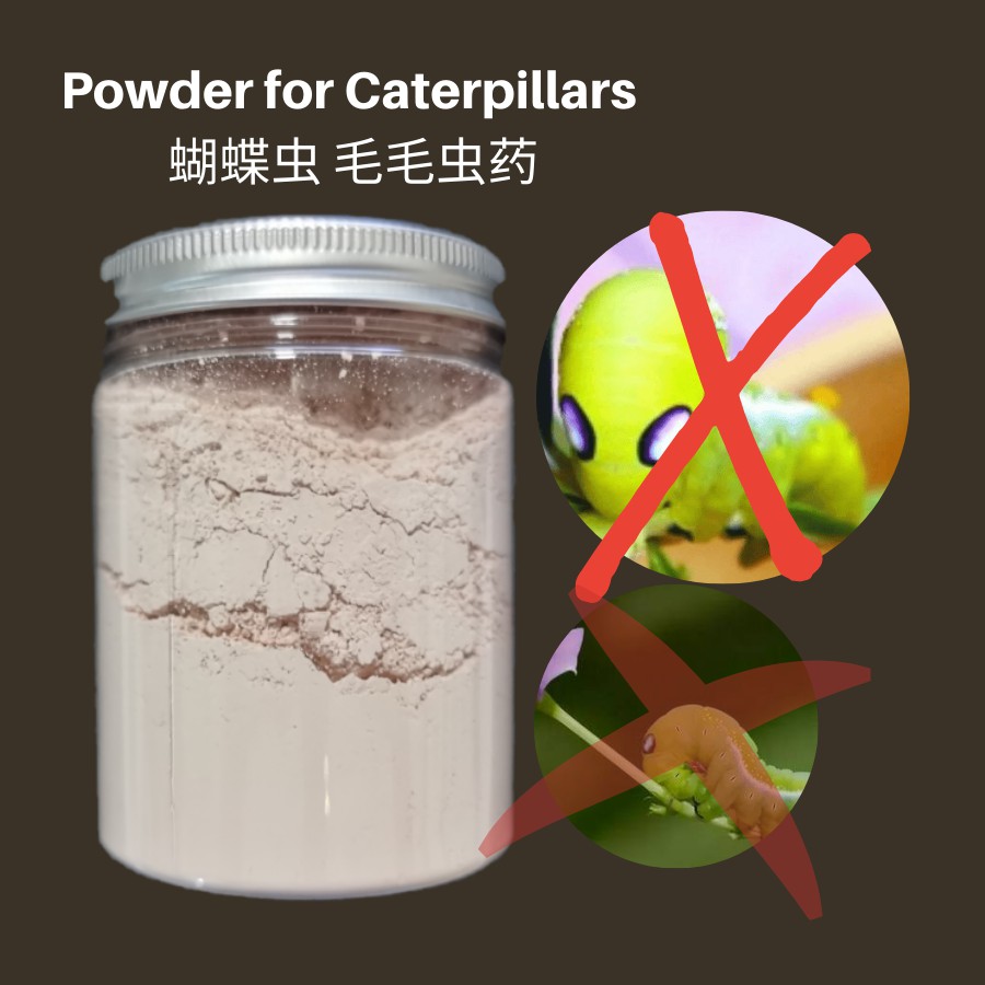 [85g] Powder for Caterpillars 蝴蝶虫 毛毛虫药 Racun untuk Ulat | Shopee Malaysia