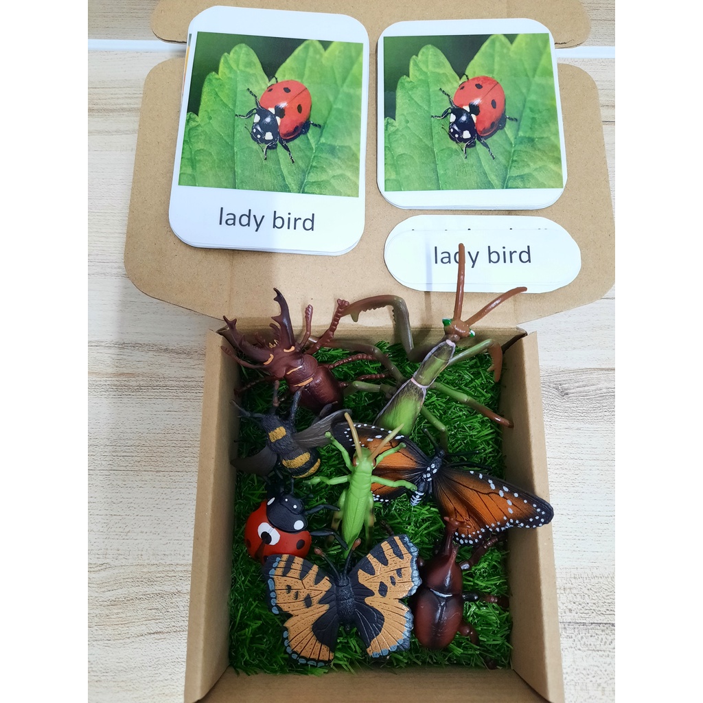 Insect Toy Realistic Insect Model Montessori Animal Match Miniature ...