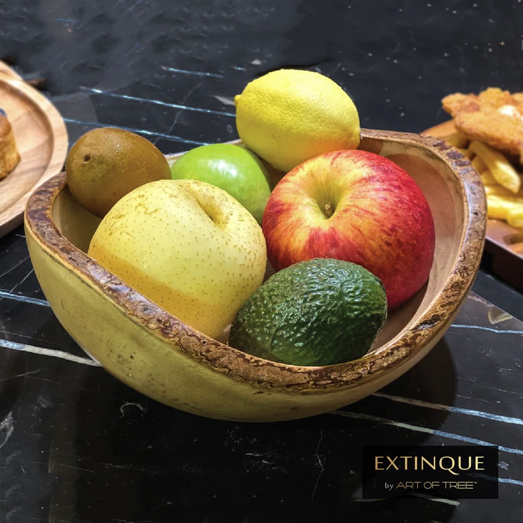 Art of Tree Rustic Natural Wood Fruit Bowl Raintree Food Safe Grade