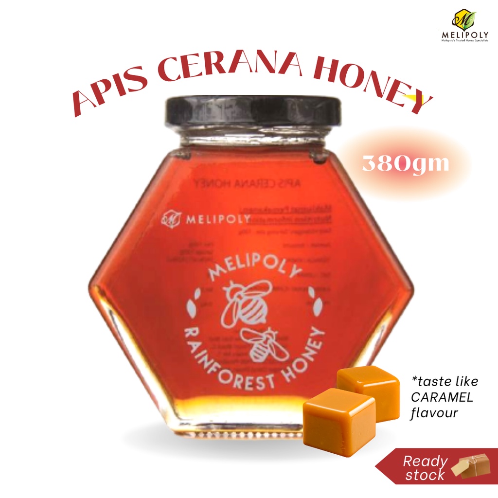 MELIPOLY 380gm Apis Cerana Honey | Madu Hutan | 雨林蜜(Malaysia Rainforest ...