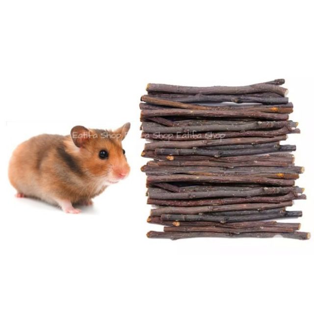 Chew stick for clearance hamster