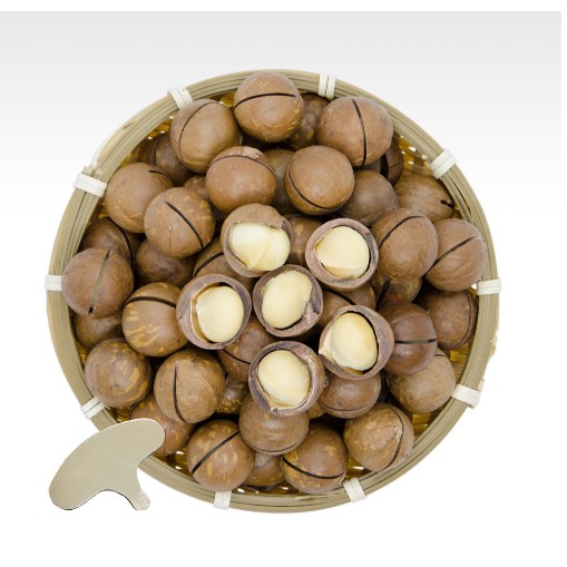 Macadamia Nuts Australia Roasted Original flavor macadamia Pack with ZipLock Ready to Eat 200G