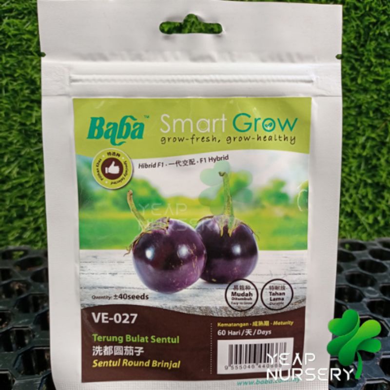 BABA SMART GROW SEED VE-027 - SENTUL ROUND BRINJAL/ TERUNG BULAT SENTUL ...