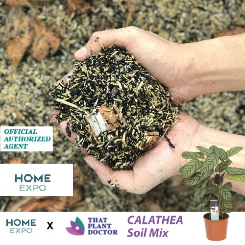 Calathea Soil Mix (4L / 1.2KG)/ Tanah Baja/ Fertilize | Shopee Malaysia