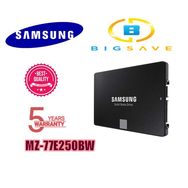 SAMSUNG 250GB 870 EVO SATA III 2.5 SSD (MZ-77E250BW)