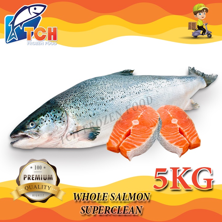 SALMON, HALF SALMON, WHOLE SALMON, TCH FROZEN FOOD, FRESH FROZEN