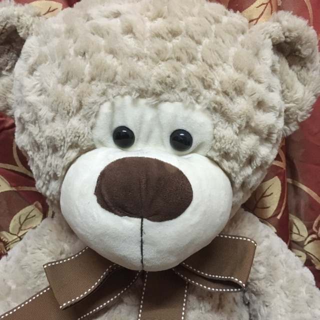 Teddy sale bear kaison