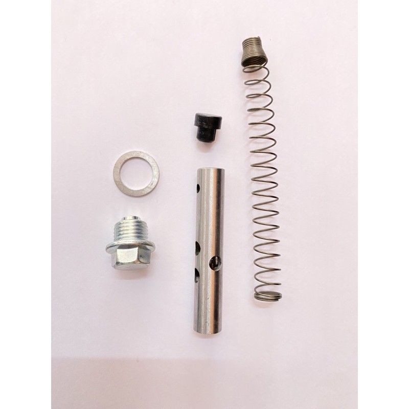 Timing Chain Tensioner Push Rod set EX5 DREAM DASH WAVE SYM C70 GBO