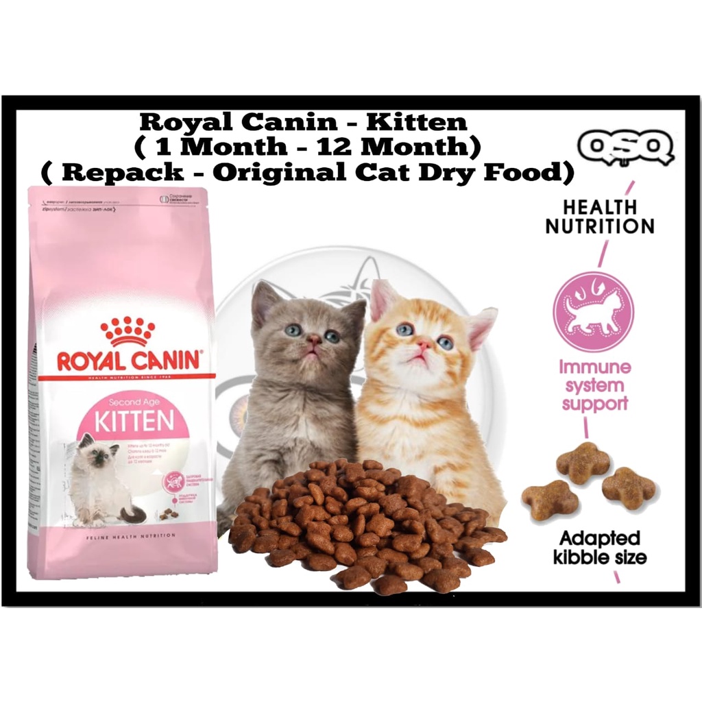 Royal Canin Kitten Kibble , Makanan Anak Kucing, Bantu Tumbesaran