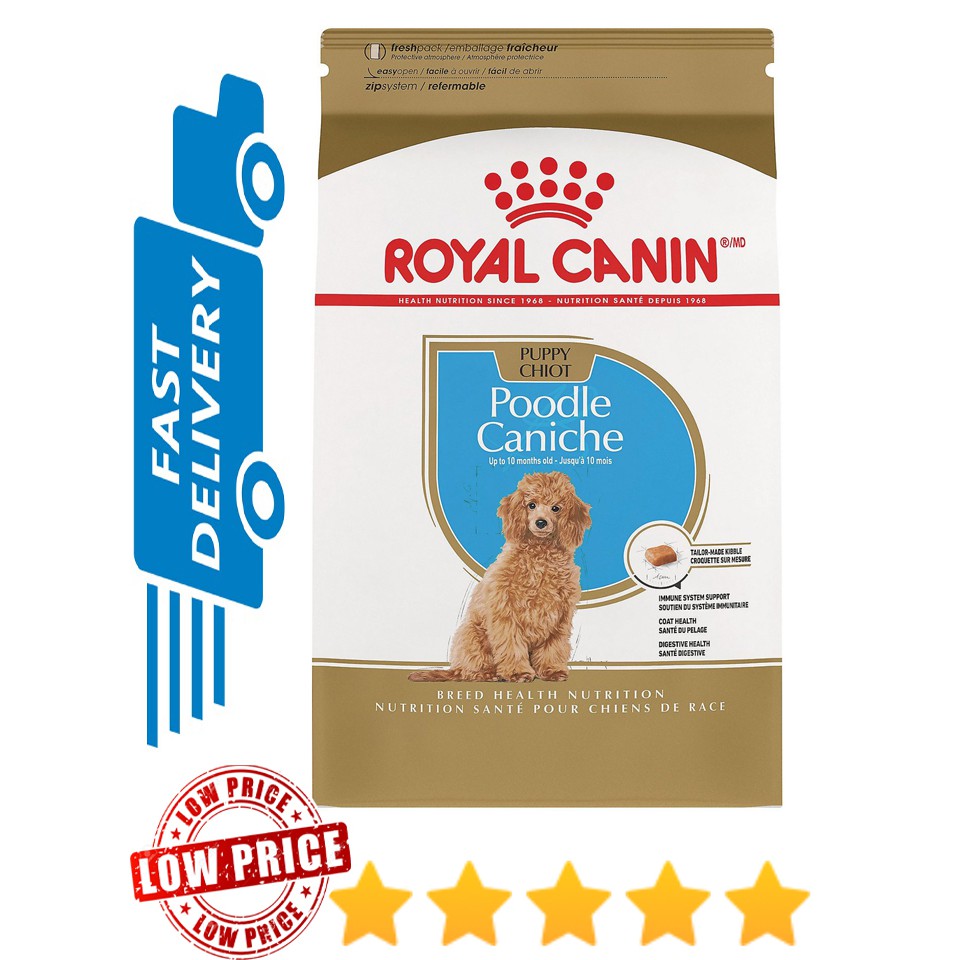 Royal canin 2024 poodle junior