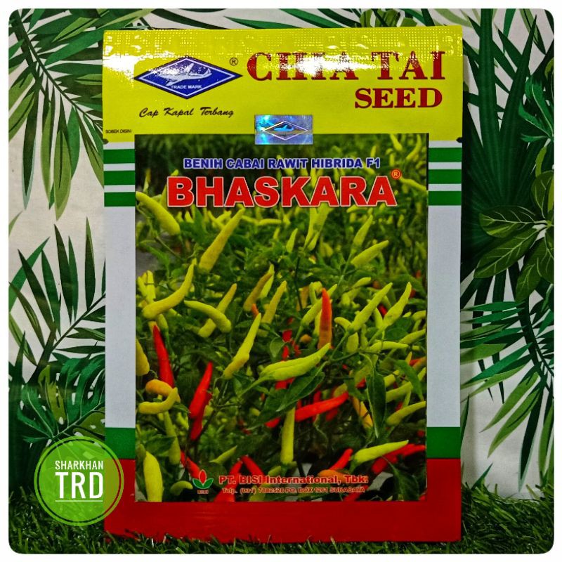 1 Paket 10 Gram BHASKARA F1 Biji Benih Cili Padi Kampung Api Cap Kapal ...