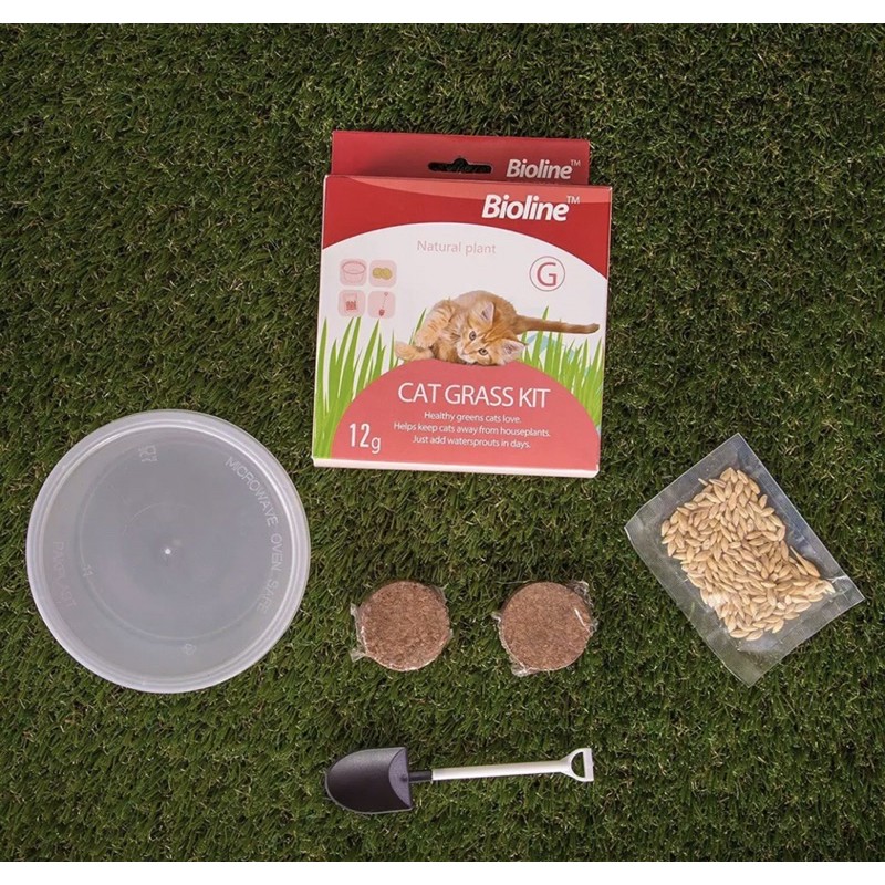 Bioline cat grass kit hotsell