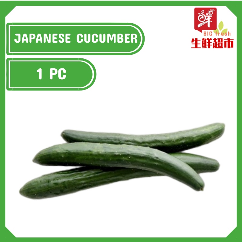 Japanese Cucumber Timun Jepun 日本黄瓜/青瓜 - 1pc Fresh Daily Pick Vegetable ...