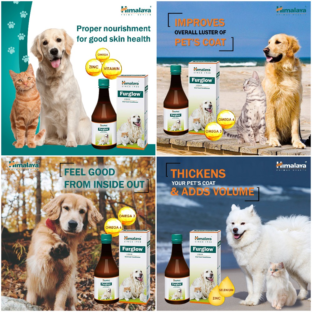 HIMALAYA Furglow Oral Coat Conditioner For Cats & Dogs 200ml expMar