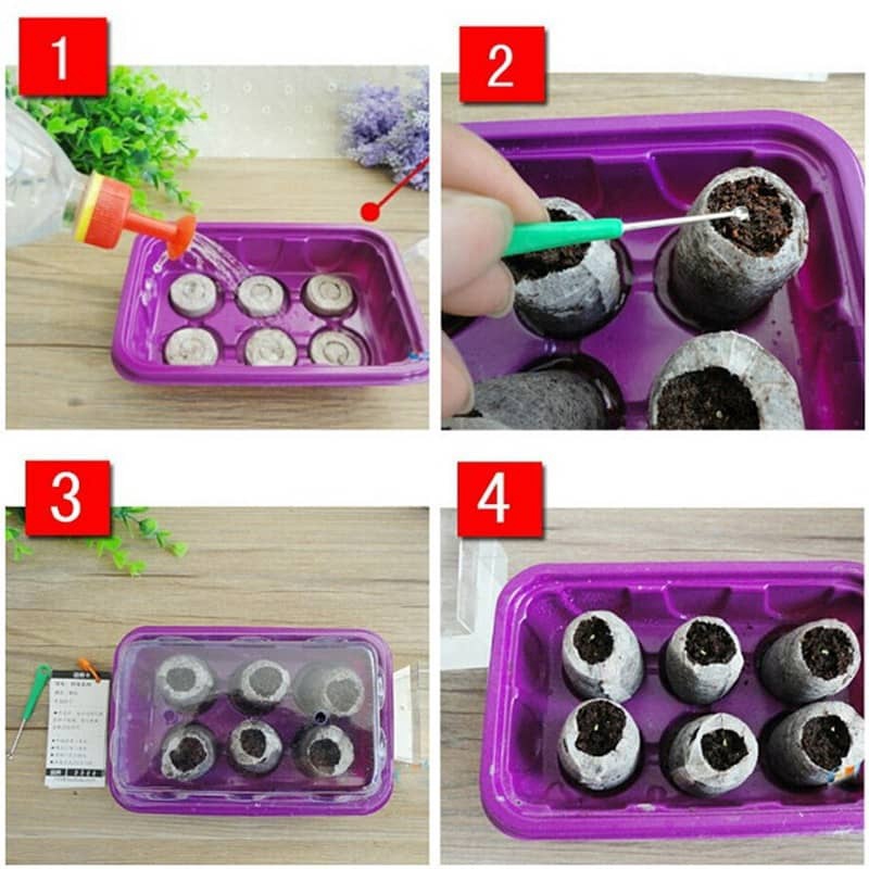 Pellet Pallet Seed Starting Plugs Seedling Soil Block Nutrition ...