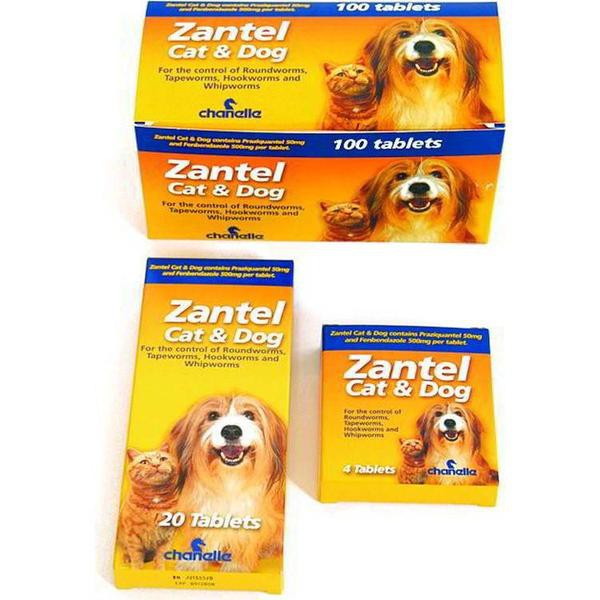 Zantel cat and store dog