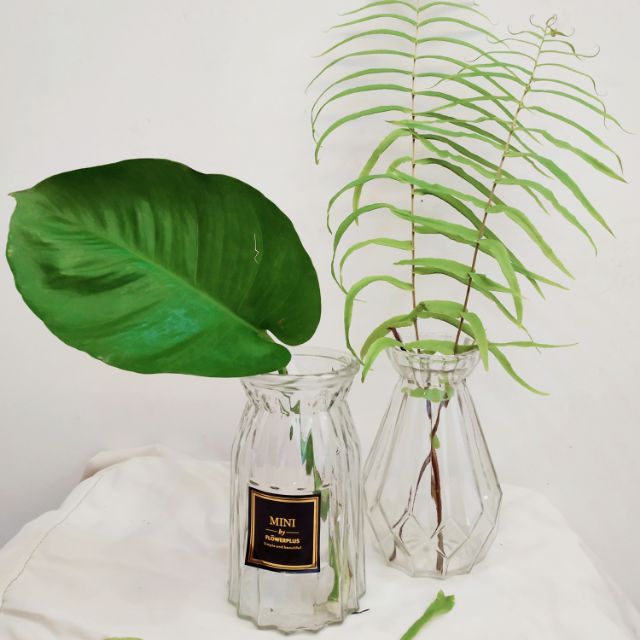 Crystal Glass Flower Vase Shopee Malaysia