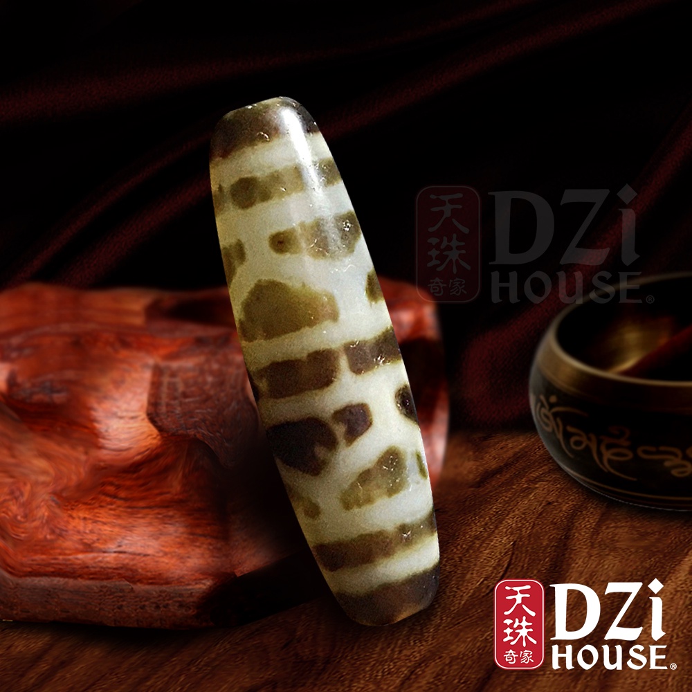 Turtle Back Dzi Bead 龟甲龙甲天珠(DK8633)【Dzi House 天珠奇家】古 