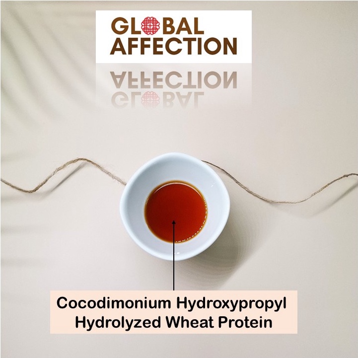 Cocodimonium Hydroxypropyl Hydrolyzed Wheat Protein Hair Care Global Affection Shopee Malaysia
