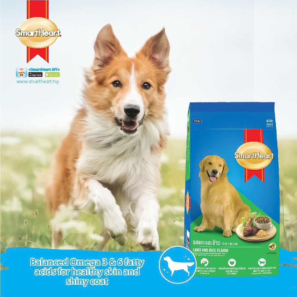 Smartheart dog hot sale food 20kg