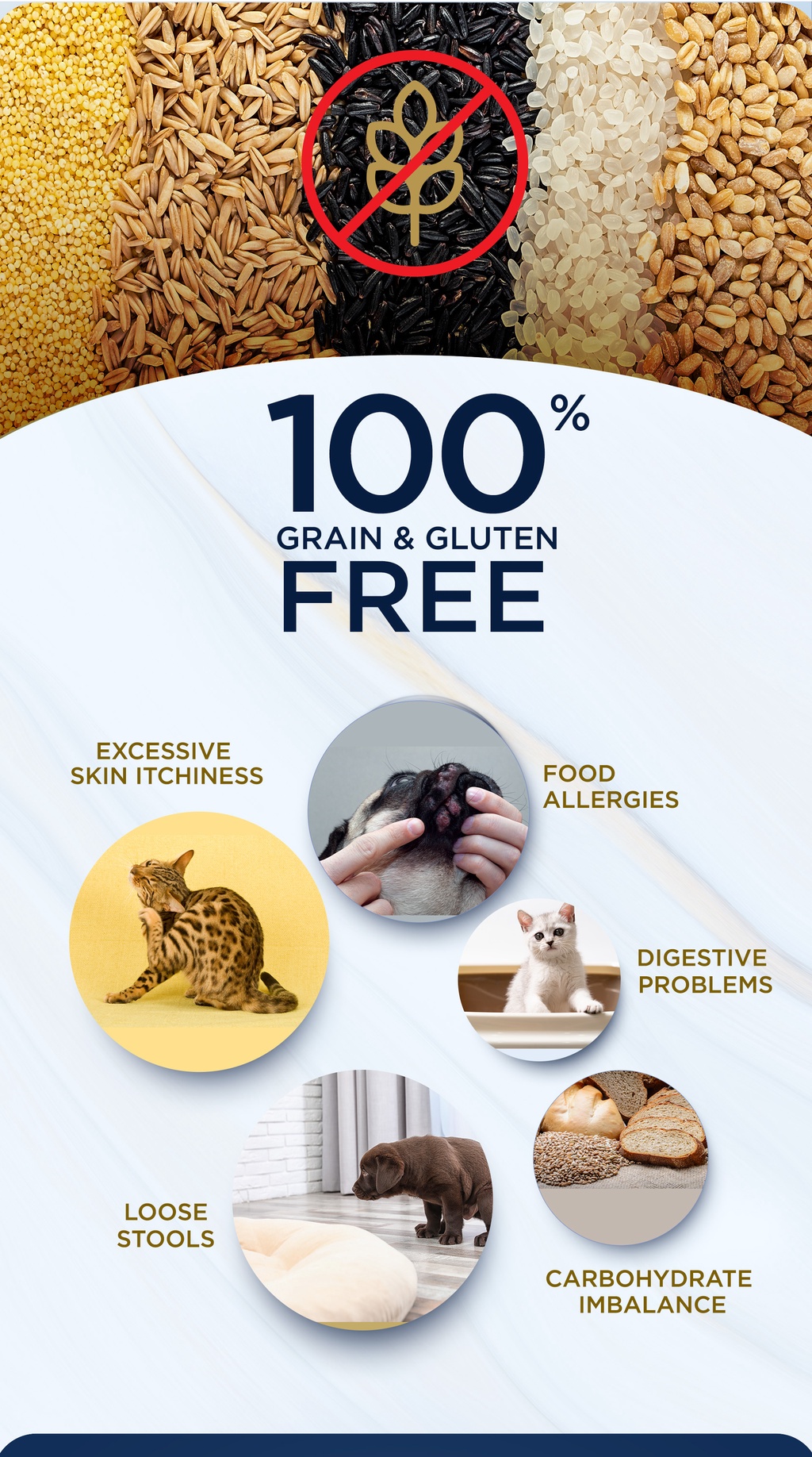 Snapshot of Kibble With High Wheat Gluten Causing Health Issues In Cats