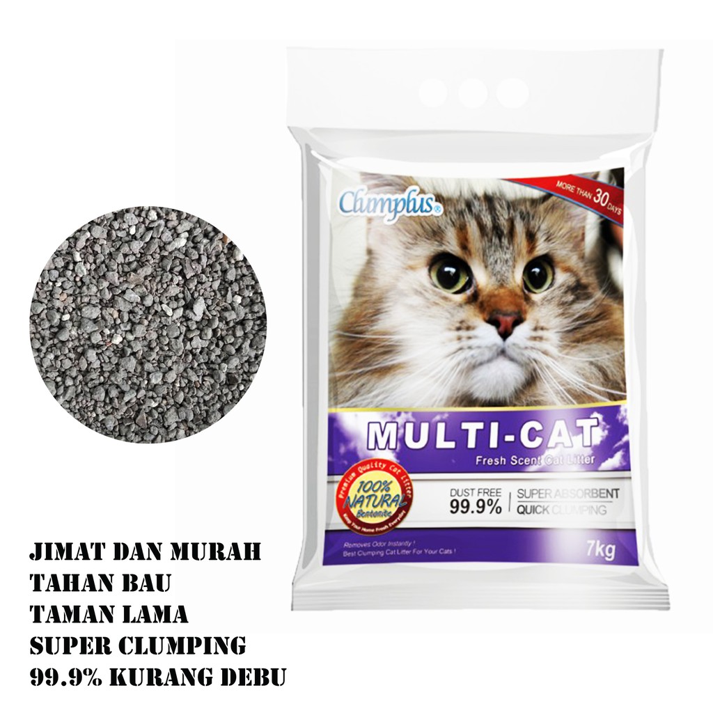 What is the best best sale litter for multiple cats