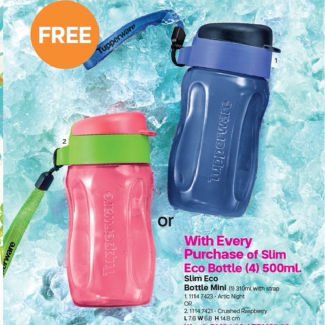 Tupperware Eco Bottle Mini 310ml | Shopee Malaysia