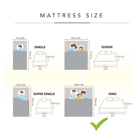 Coconut Fibre Spinahealth by Goodnite 100% Coconut Fibre Mattress - Fibre 双人椰丝床褥床垫Tilam Fibre Goodni