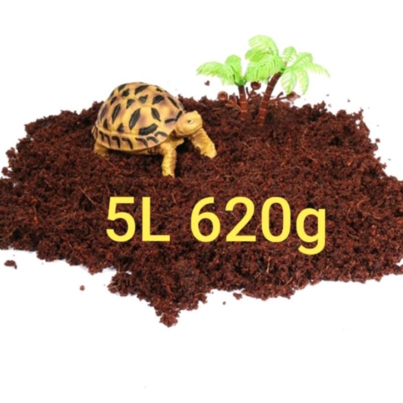 >>exotic reptile bedding terrarium coconut soil cocopeat husk hermit